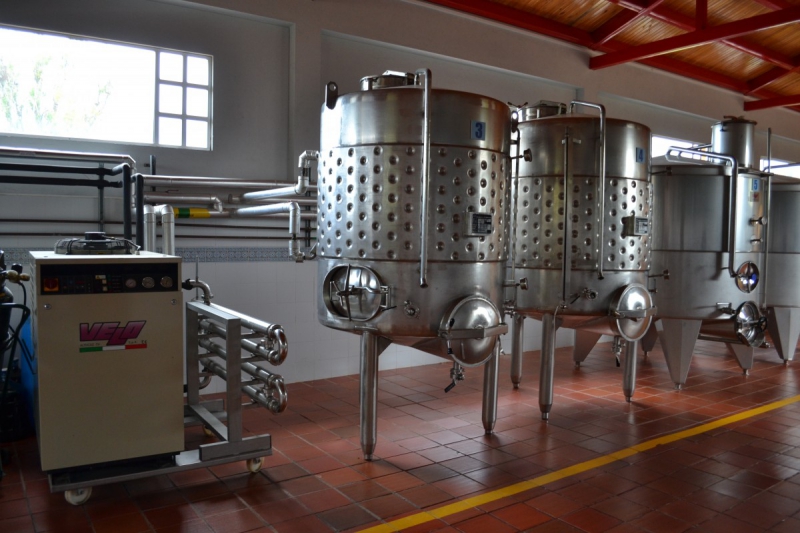 cave-ST JEANNET-min_wine_production_cantine_winery_drink_alcohol_vine_beverage-902036